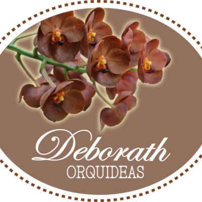 Deborah orquídeas